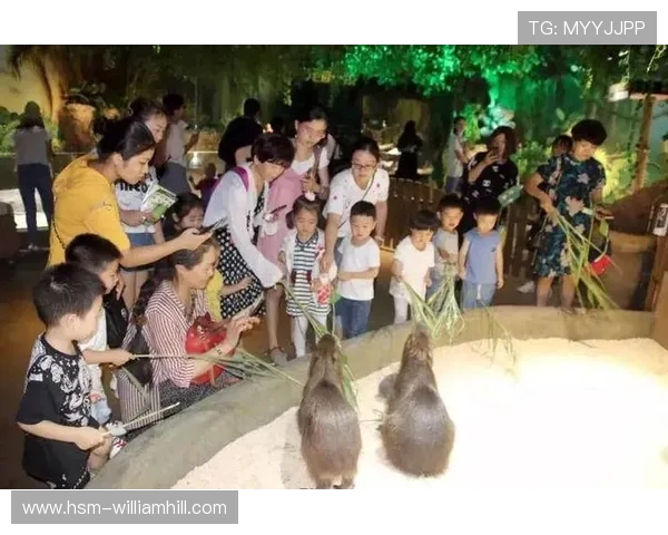 以萌宠三合一是否真能赚钱为中心的全面解析与真实玩家体验揭秘